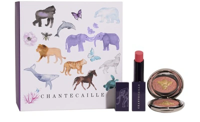 Shop Chantecaille Wild Pairs: Cheek And Lip Duo (1) In Honeypot