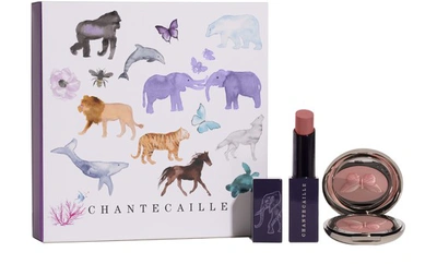 Shop Chantecaille Wild Pairs: Cheek And Lip Duo In Impatients