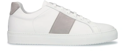 Shop National Standard Edition 4 Trainers In 007 Grey Band