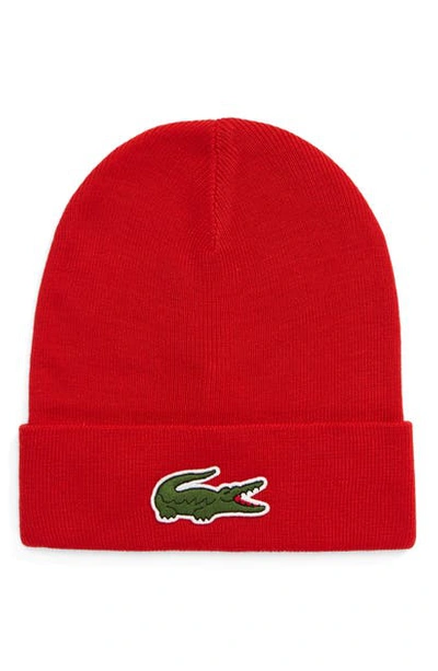 Shop Lacoste Big Croc Beanie In Red