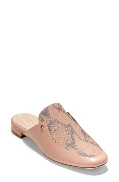 Shop Cole Haan Ryan Mule In Mahogany Rose Leather