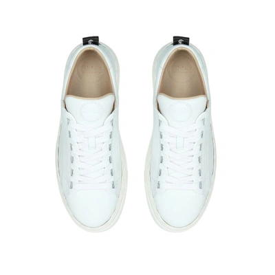 Shop Chloé Leather Lauren Sneakers In White