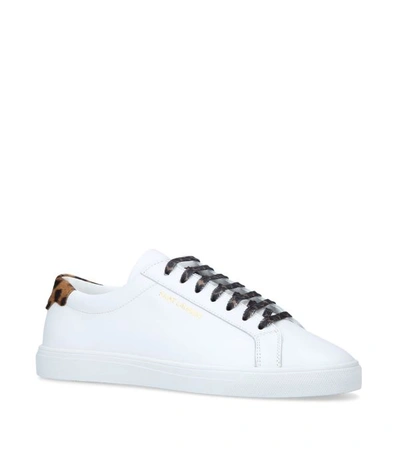 Shop Saint Laurent Leather Andy Sneakers