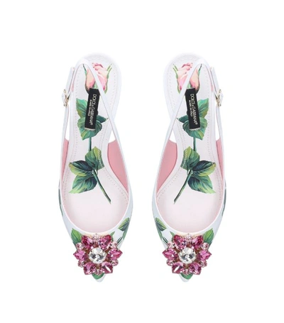 Shop Dolce & Gabbana Leather Tropical Rose Print Slingback Pumps 60