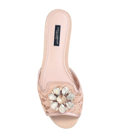 Shop Dolce & Gabbana Lace Embellished Bianca Slides