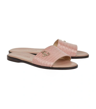 Shop Jimmy Choo Croc-embossed Leather Minea Flats