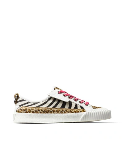 Shop Jimmy Choo Impala Animal Print Sneakers