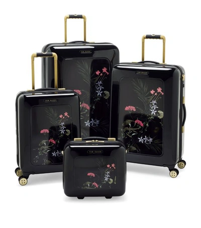 Shop Ted Baker Take Flight Highland Suitcase (80cm)