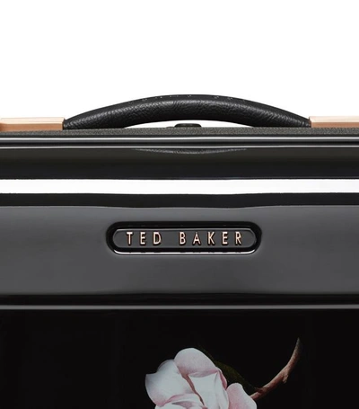Shop Ted Baker Take Flight Opal Cabin Case (54cm)