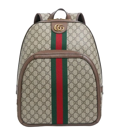 Shop Gucci Ophidia Gg Supreme Backpack