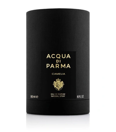 Shop Acqua Di Parma Camelia Eau De Parfum (180ml) In Multi
