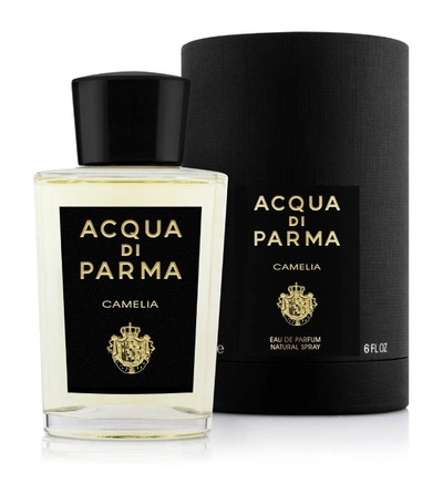 Shop Acqua Di Parma Camelia Eau De Parfum (180ml) In Multi