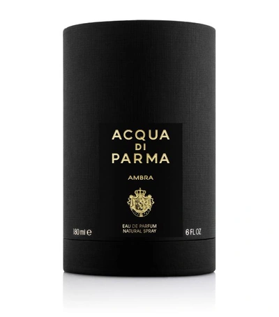 Shop Acqua Di Parma Signatures Of The Sun Sakura Eau De Parfum (100ml) In Multi