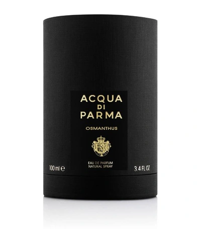 Shop Acqua Di Parma Osmanthus Eau De Parfum (100ml) In Multi