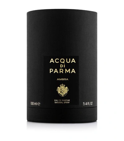 Shop Acqua Di Parma Ambra Eau De Parfum (100ml) In Multi