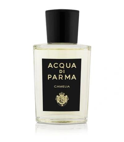 Shop Acqua Di Parma Camelia Eau De Parfum (100ml) In Multi