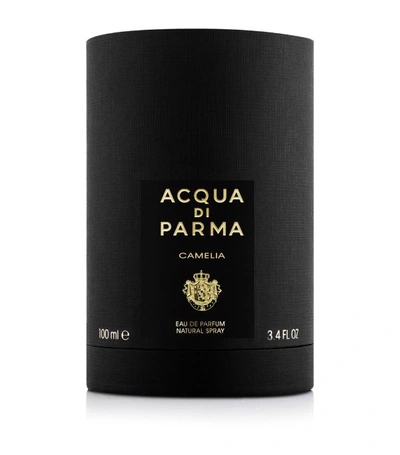 Shop Acqua Di Parma Camelia Eau De Parfum (100ml) In Multi