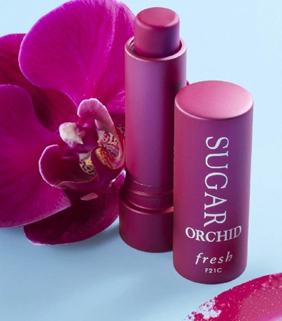 Shop Fresh Sugar Orchid Tinted Lip Treatment Spf 15 In White