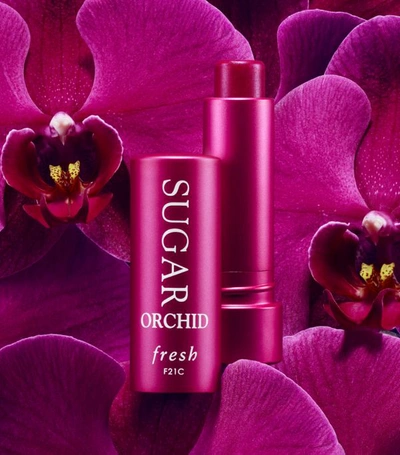 Shop Fresh Sugar Orchid Tinted Lip Treatment Spf 15 In White