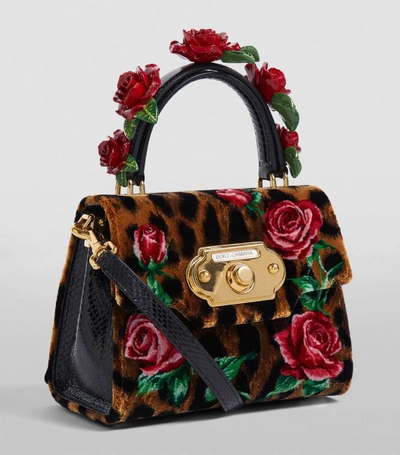 Shop Dolce & Gabbana Mini Velvet Welcome Top-handle Bag