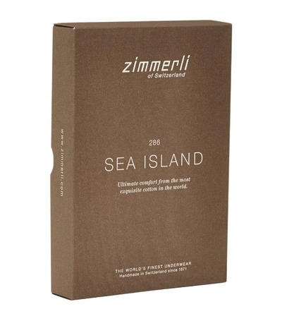 Shop Zimmerli 286 Sea Island Hipster Brief