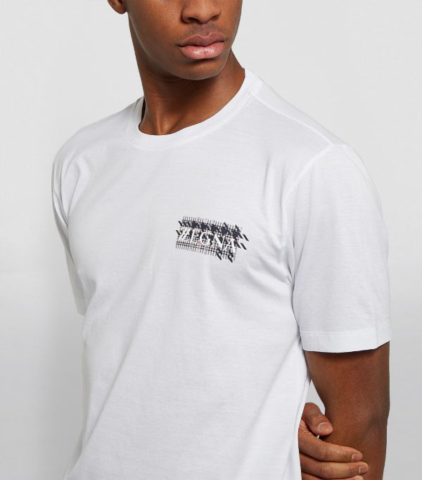 t shirt zegna