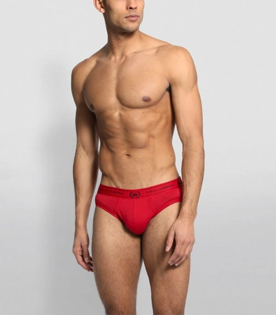 Shop Dolce & Gabbana Crown Leaf Briefs