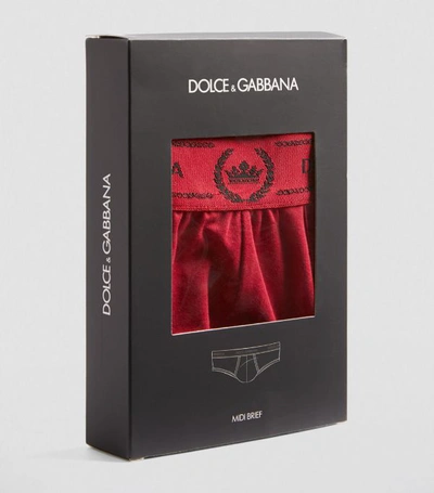 Shop Dolce & Gabbana Crown Leaf Briefs