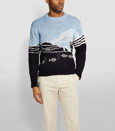 Shop Thom Browne Cotton Dolphin Sweater