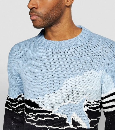 Shop Thom Browne Cotton Dolphin Sweater