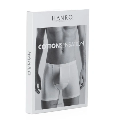 Shop Hanro Cotton Sensation Butterfly Trunk In Black