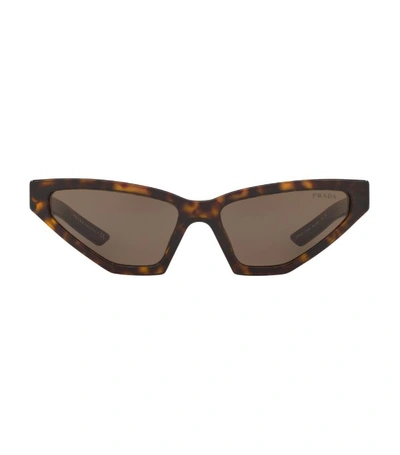 Shop Prada Tortoiseshell Sunglasses