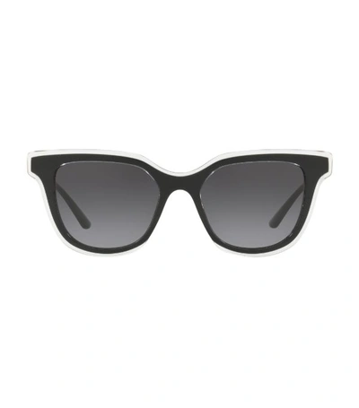 Shop Dolce & Gabbana Acetate Panthos Sunglasses
