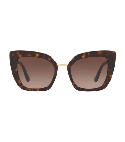 Shop Dolce & Gabbana Acetate Cat Eye Sunglasses