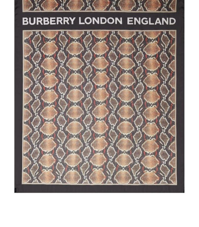 Shop Burberry Python Print Silk Chiffon Scarf