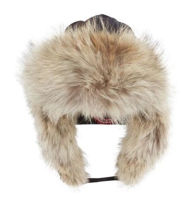 Shop Canada Goose Aviator Hat