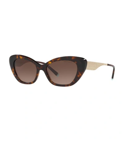 Shop Tiffany & Co Havana Cat Eye Sunglasses