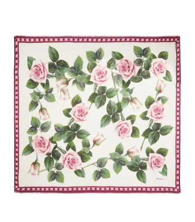 Shop Dolce & Gabbana Floral Scarf