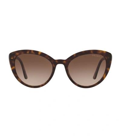 Prada Semi-transparent Acetate Cat-eye Sunglasses In Brown | ModeSens