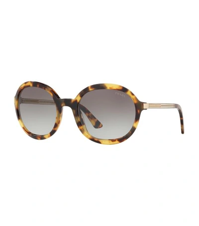 Shop Prada Tortoiseshell Heritage Sunglasses In 7s00a7