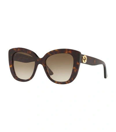 Shop Gucci Havana Cat Eye Sunglasses