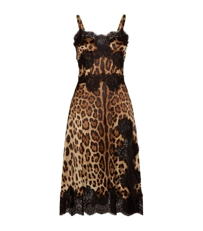 Shop Dolce & Gabbana Leopard Print Slip Dress In Multi