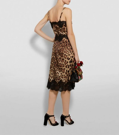 Shop Dolce & Gabbana Leopard Print Slip Dress In Multi