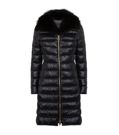 Shop Herno Fur Trim Down Coat