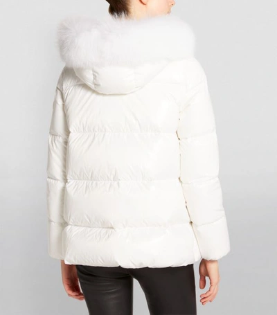 Shop Moncler Givre Fox Fur-trim Jacket