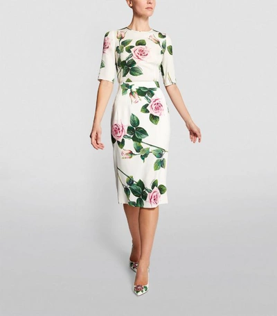 Shop Dolce & Gabbana Tropical Rose-print Skirt