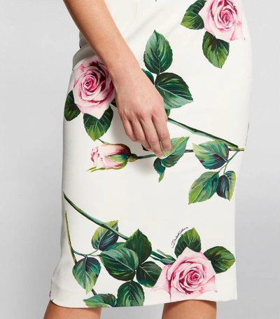 Shop Dolce & Gabbana Tropical Rose-print Skirt