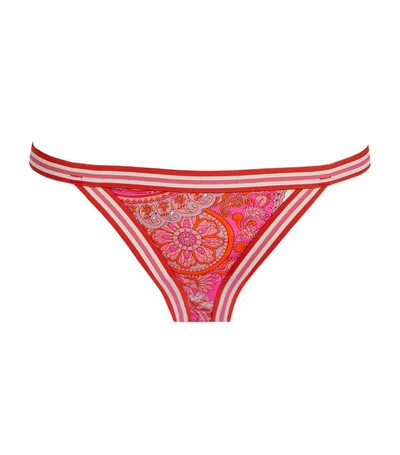 Shop Zimmermann Peggy Bikini Briefs