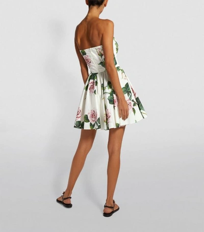 Shop Dolce & Gabbana Tropical Rose Dress