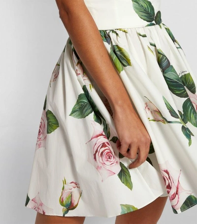 Shop Dolce & Gabbana Tropical Rose Dress